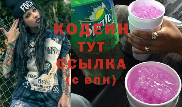 сатива Иннополис