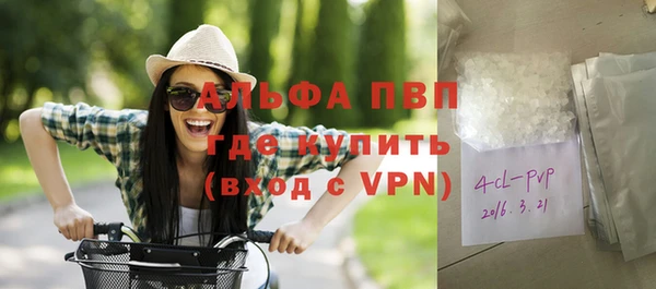 сатива Иннополис