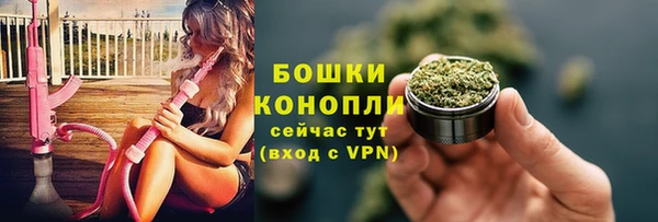 сатива Иннополис