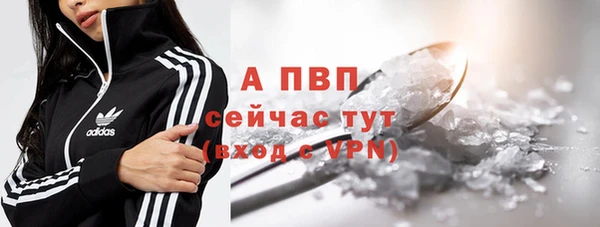 мяу мяу мука Инсар