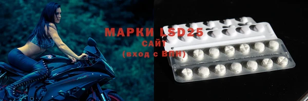 мяу мяу мука Инсар