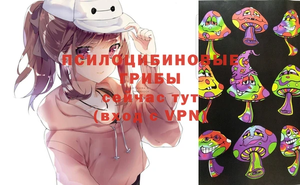мяу мяу мука Инсар