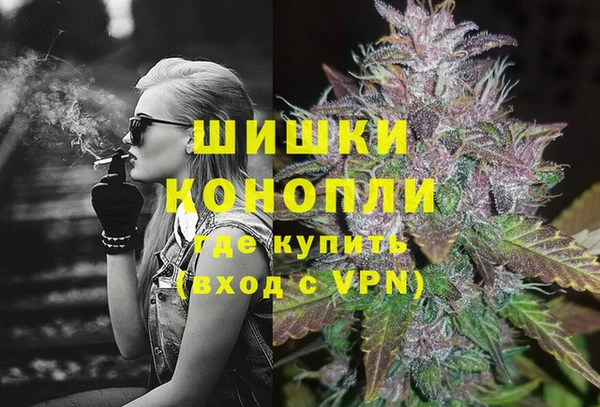 сатива Иннополис