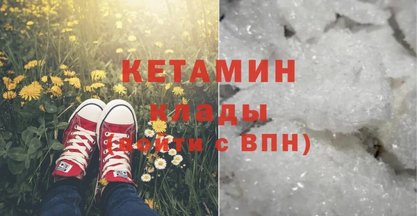 сатива Иннополис