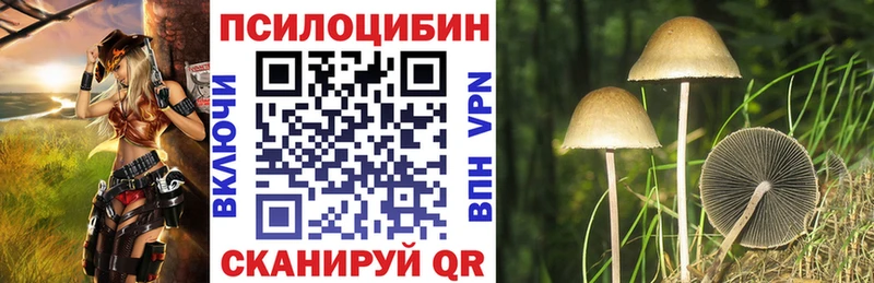Купить  Дно  Псилоцибиновые грибы мухоморы 